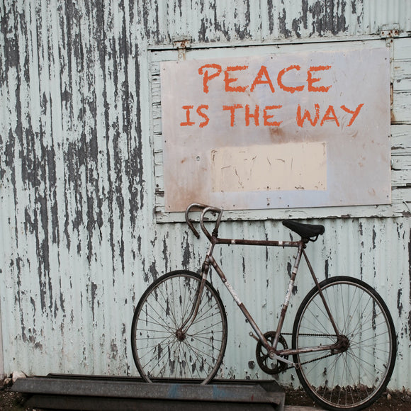 2017 Vision of Peace: A Way of Life - The Whole 9 Gallery
